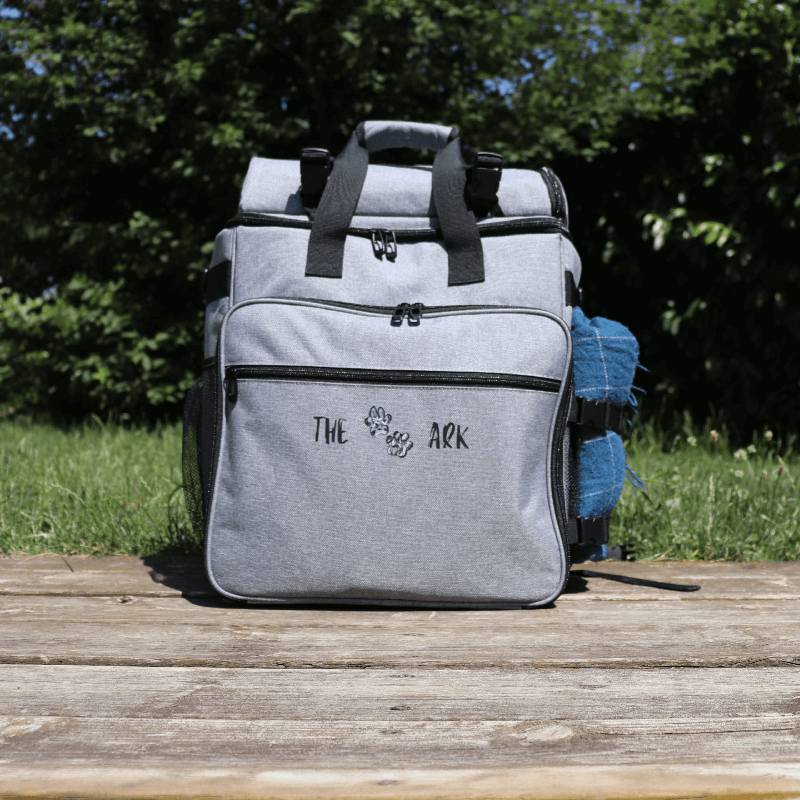 Der Buddypack-Rucksack